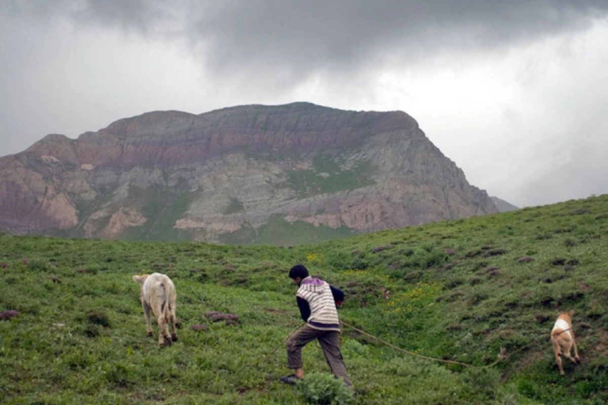 Mingəçevirdə çoban [[quyuya düşdü]]