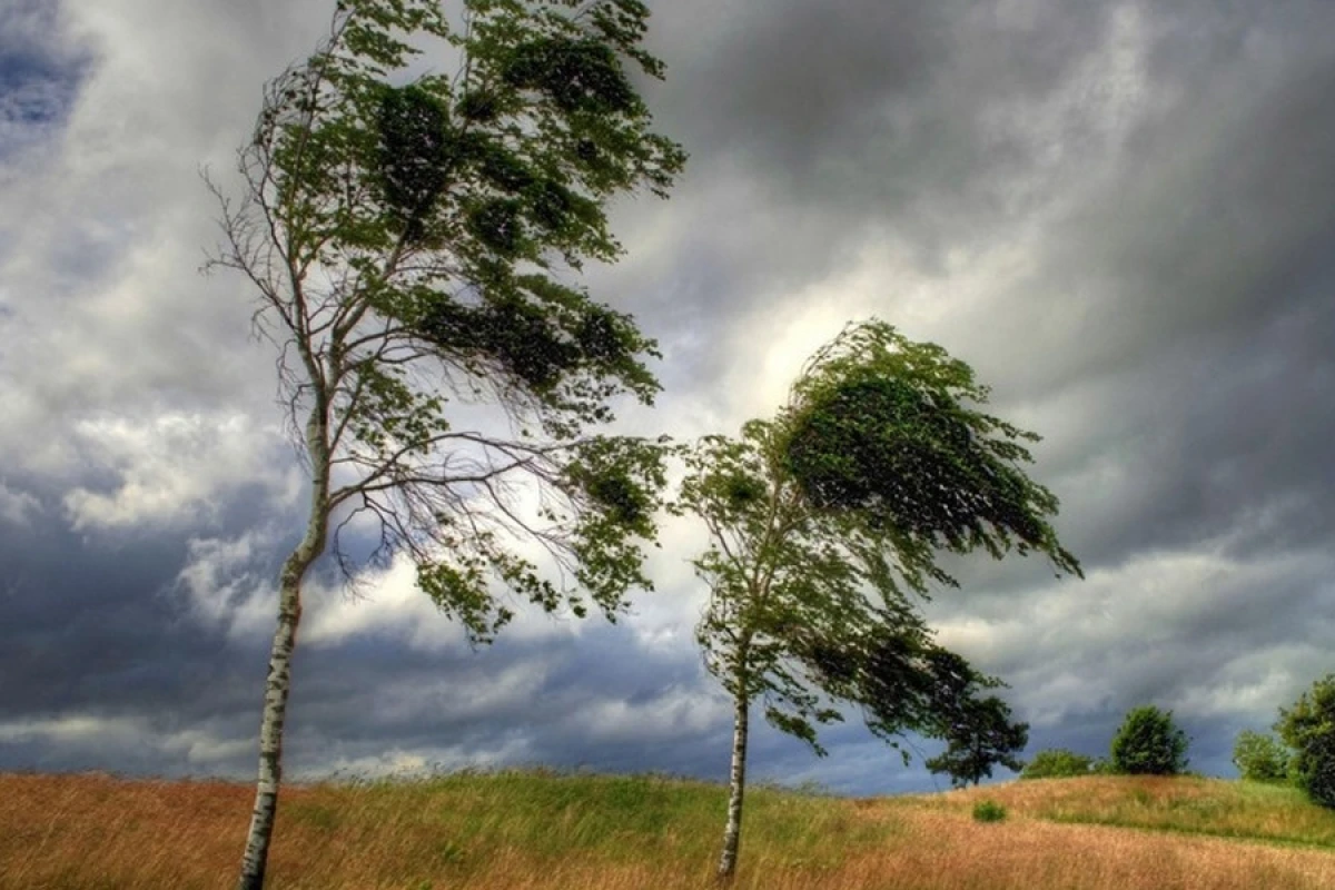 Bəzi yerlərdə külək əsir [[- FAKTİKİ HAVA]]