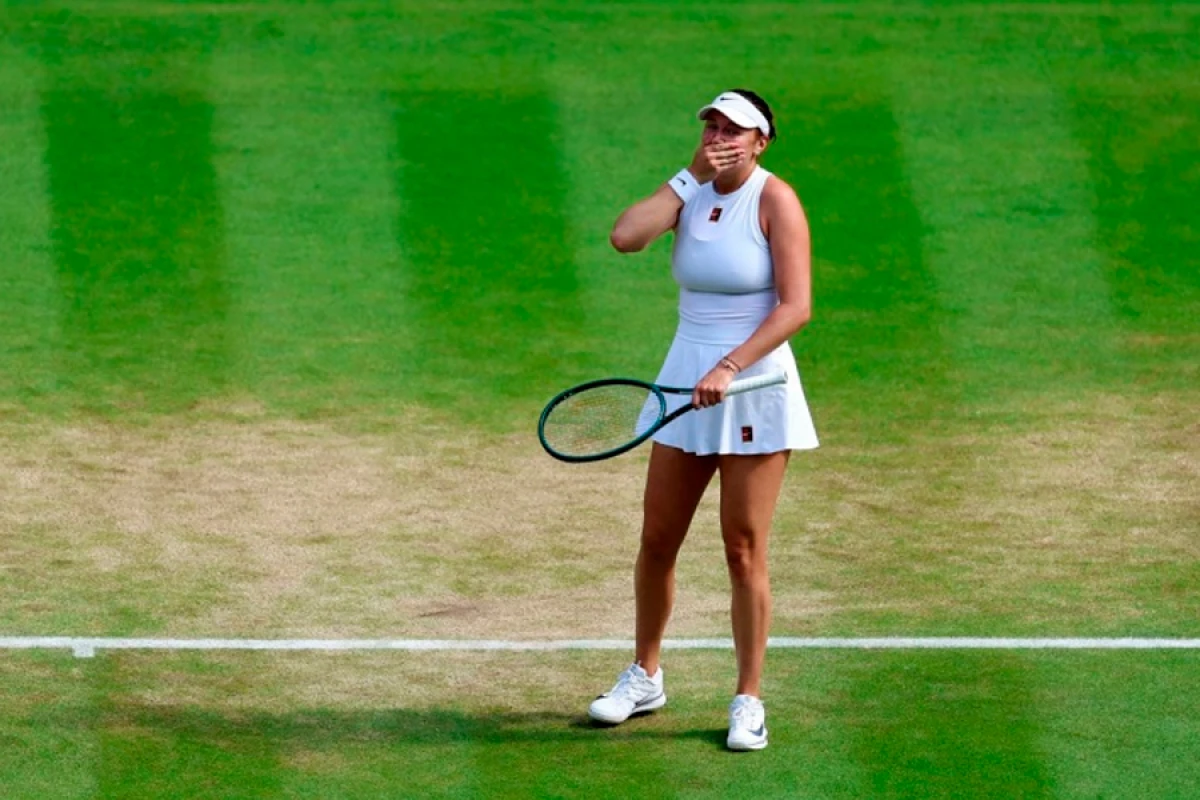 Anisimova karyerasının [[ən yüksək mövqeyinə]] çatdı