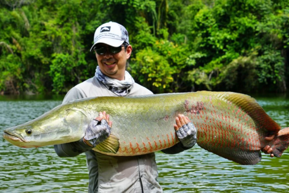 Havada nəfəs alan [[balıq tutuldu]]