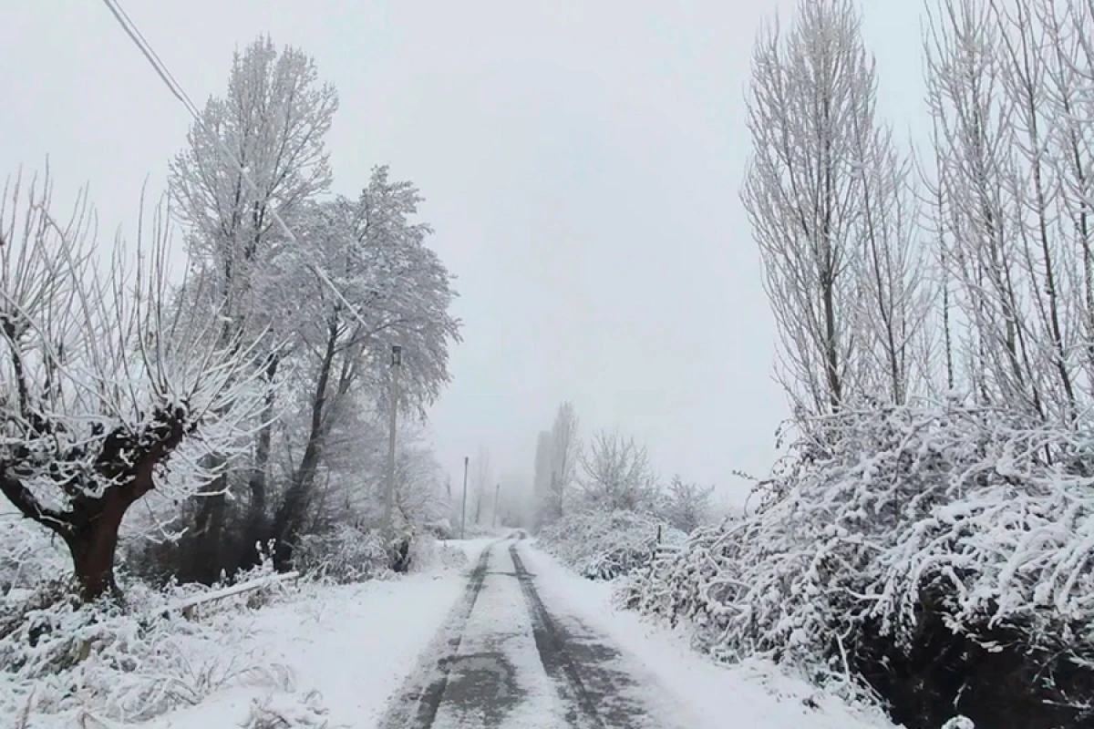 Dağlıq və dağətəyi rayonlarda qar yağır [[- FAKTİKİ HAVA]]