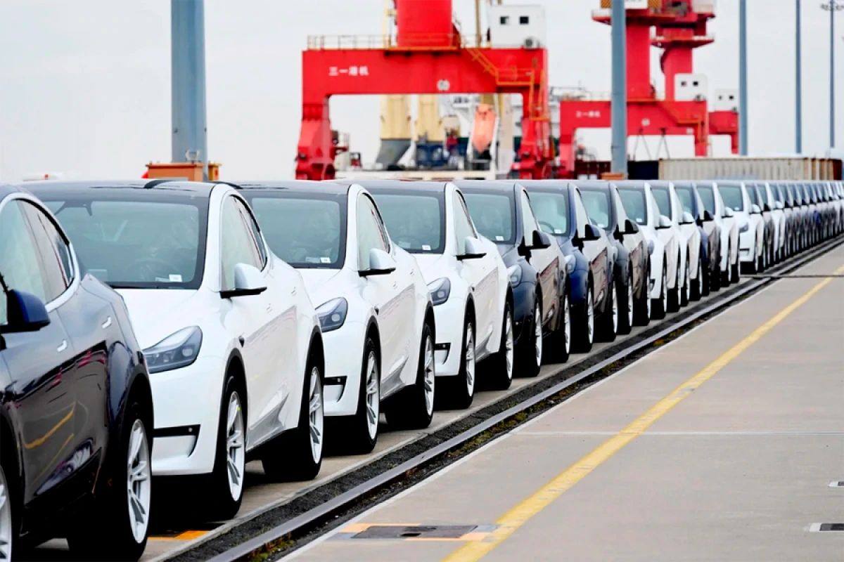 286 nəqliyyat vasitəsi [[hərraca çıxarılır]]