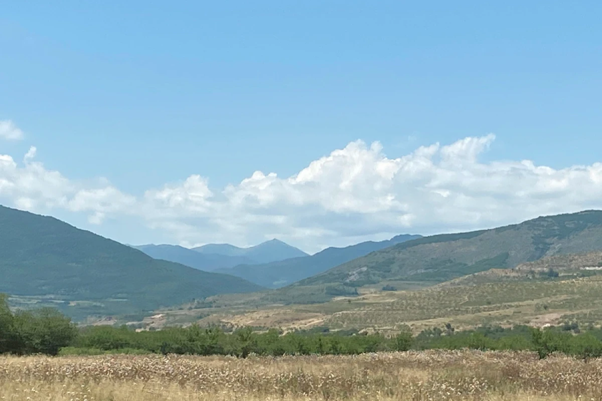 10 erməni [[Ermənistana]] təhvil verildi