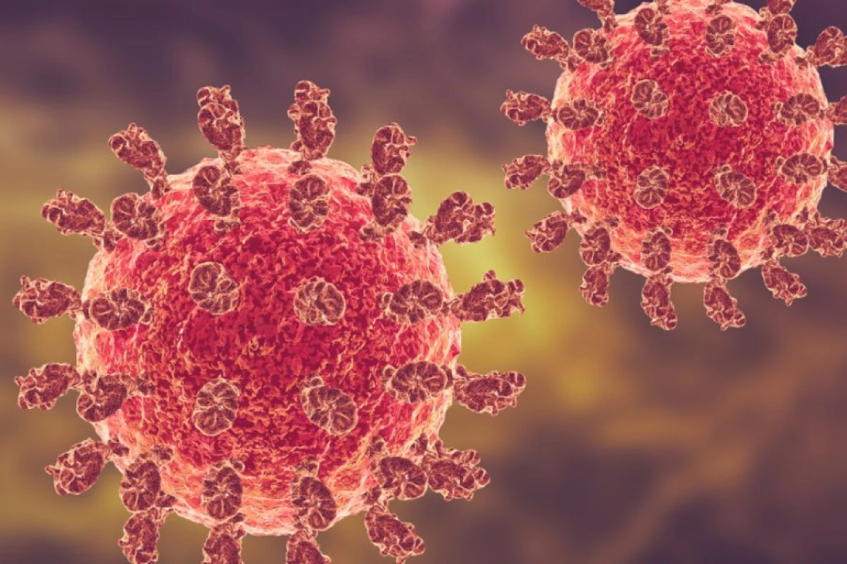 Dünyada yeni [[virus təhlükəsi]]