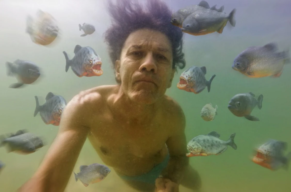 Braziliyada [[piranhalar]] insanlara kütləvi hücum etdi