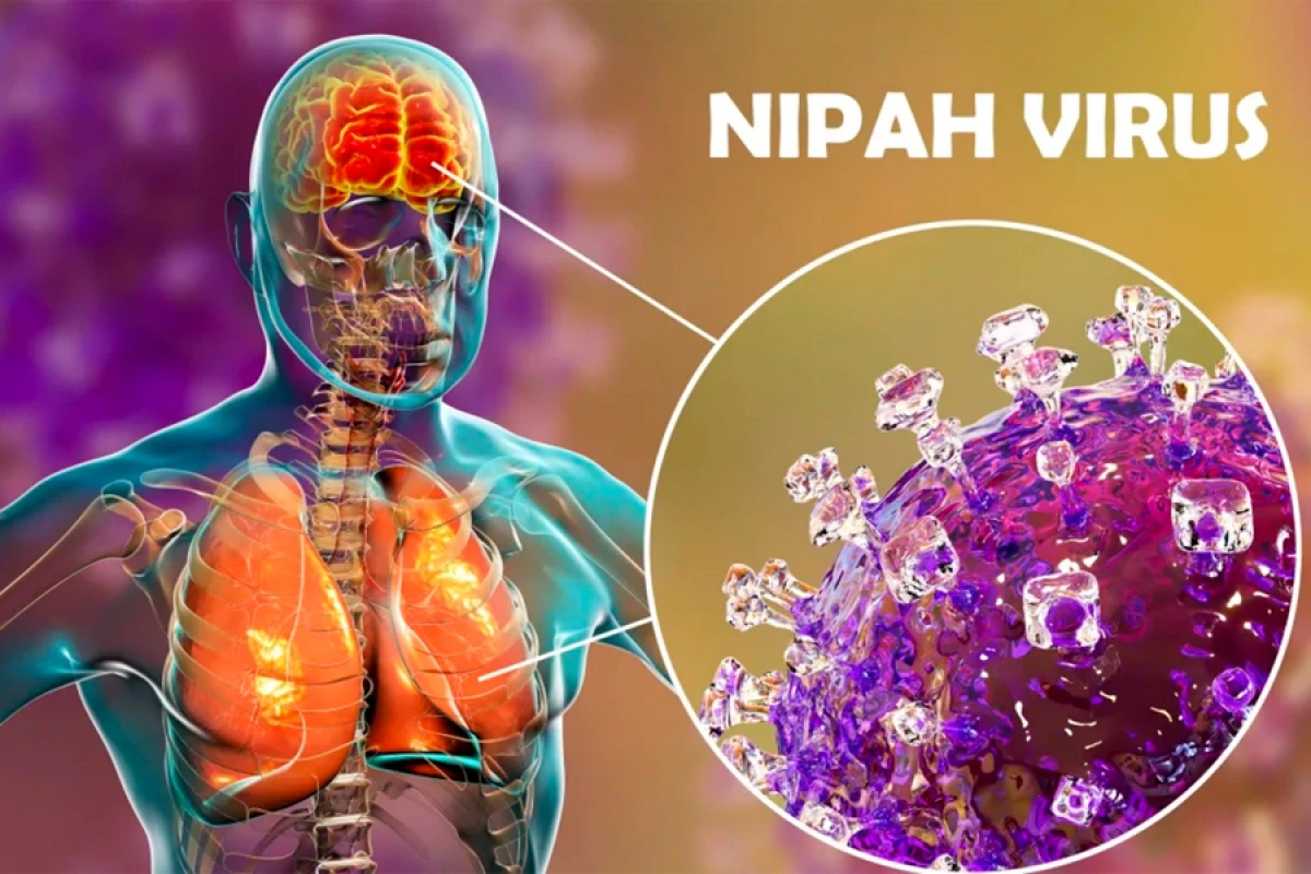 [[TƏCİLİ!]] Ölümcül virus Azərbaycana gəlir?