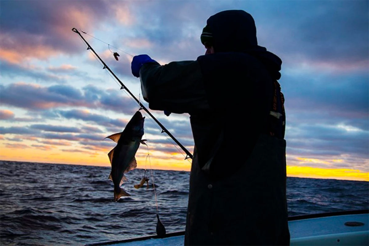 Balıq ovlamaq istəyən [[şəxs suya düşərək]] boğuldu