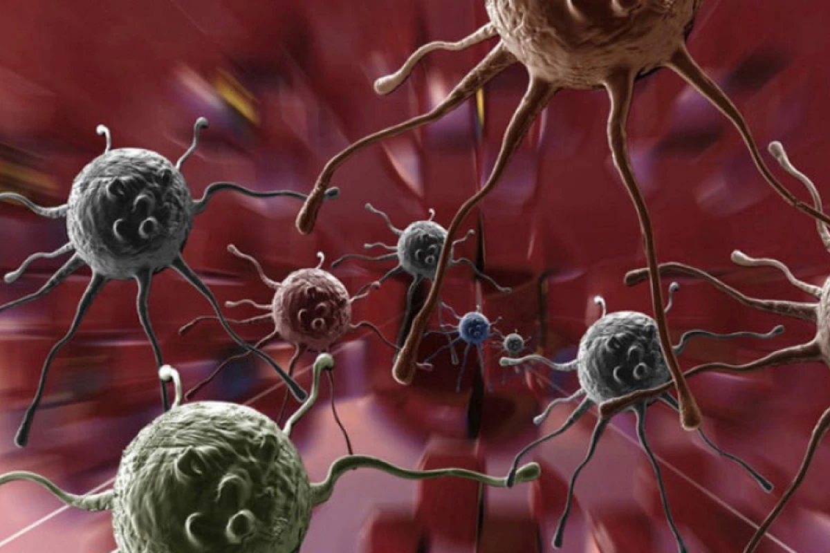 [[Alimlər mədəaltı]] vəzi xərçənginə qarşı nəticə əldə etdilər