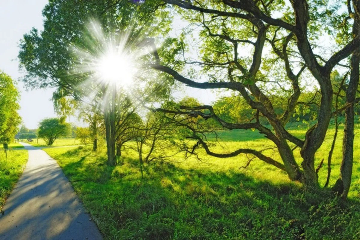 Sabah 18 dərəcə isti olacaq [[- PROQNOZ]]