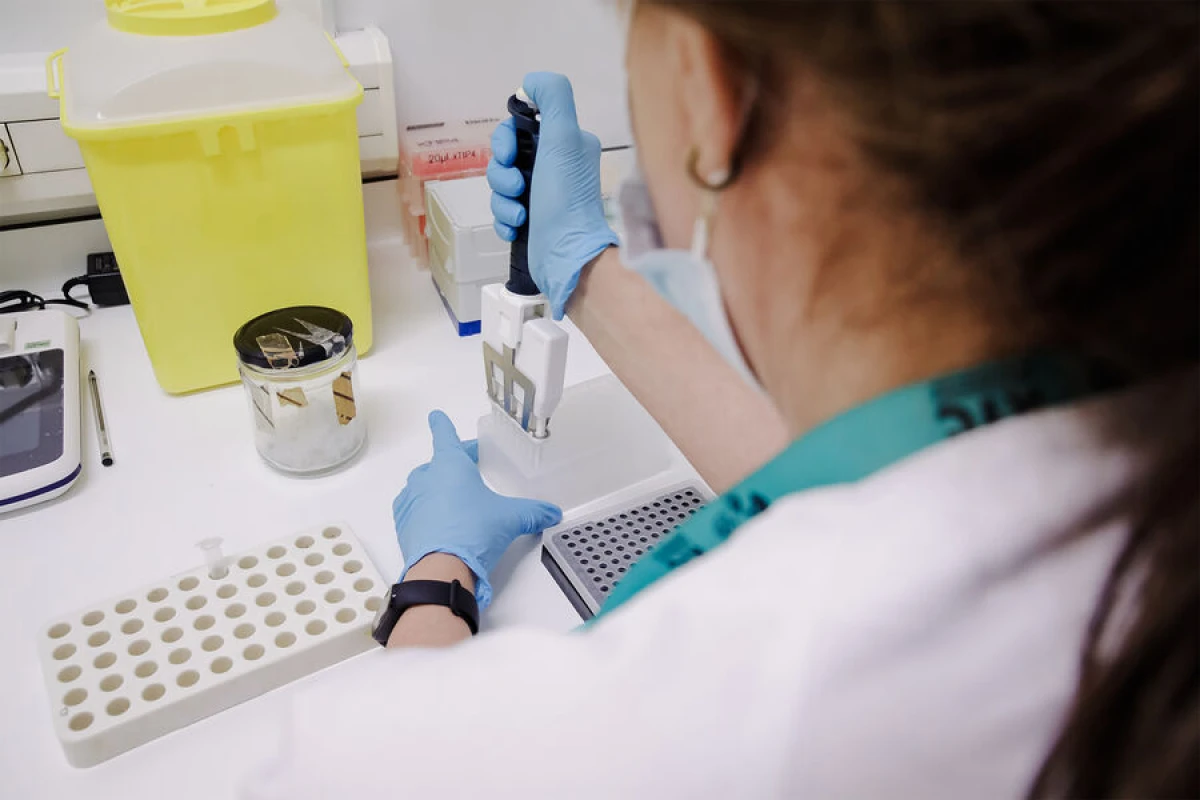 Meymunçiçəyinin əsas əlamətləri [[açıqlandı]]