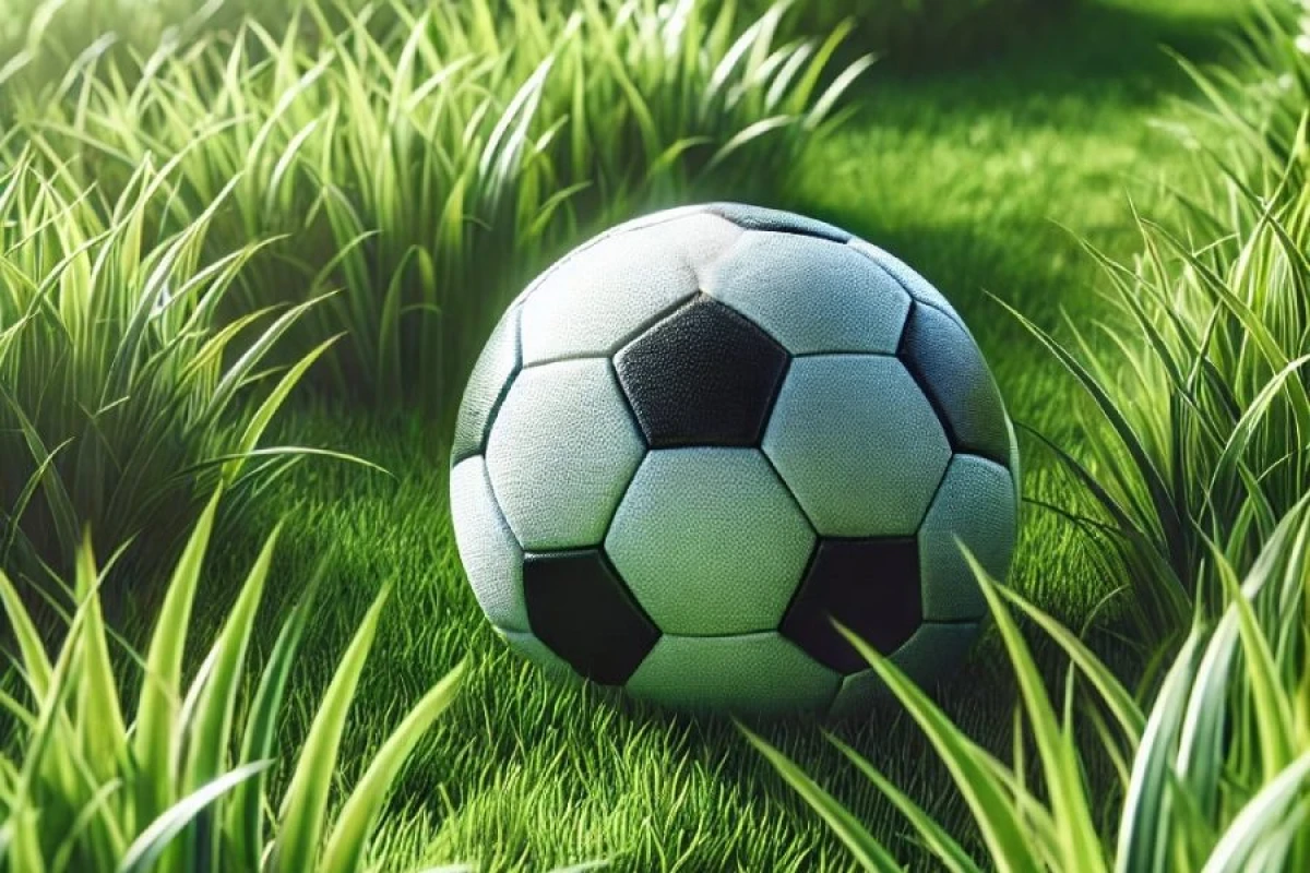 "Qarabağ"ın sabiq futbolçusu [[Türkiyədə oynayacaq]]