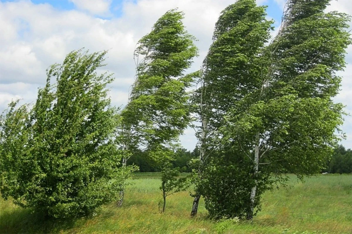 İstirahət günlərində külək güclənəcək [[- XƏBƏRDARLIQ]]