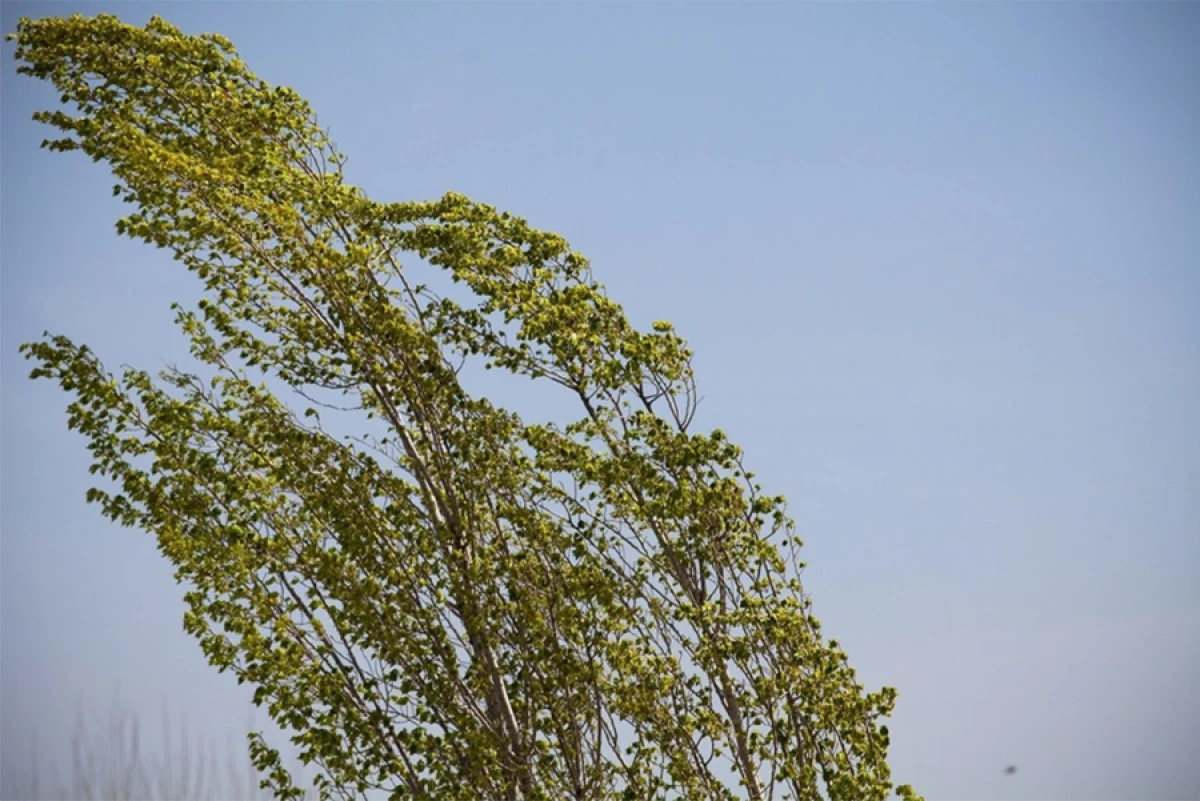 Bakıda və bölgələrdə külək güclənəcək [[- XƏBƏRDARLIQ]]