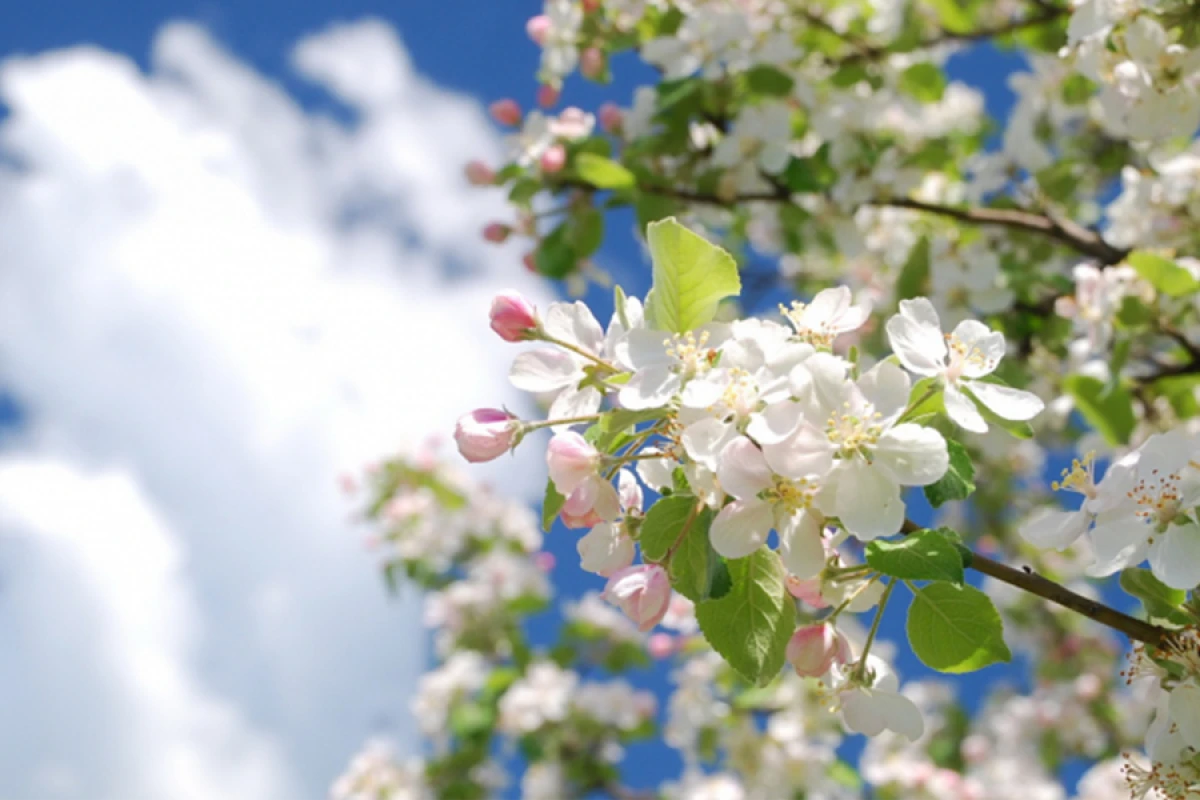 Yaz fəslinin [[Azərbaycana daxil olacağı]] vaxt açıqlandı
