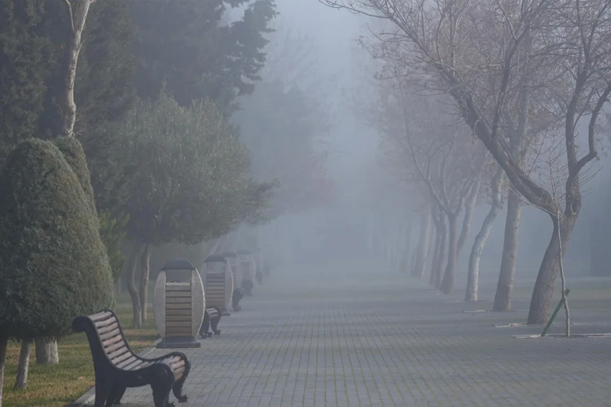 Sabah hava [[çiskinli olacaq]]