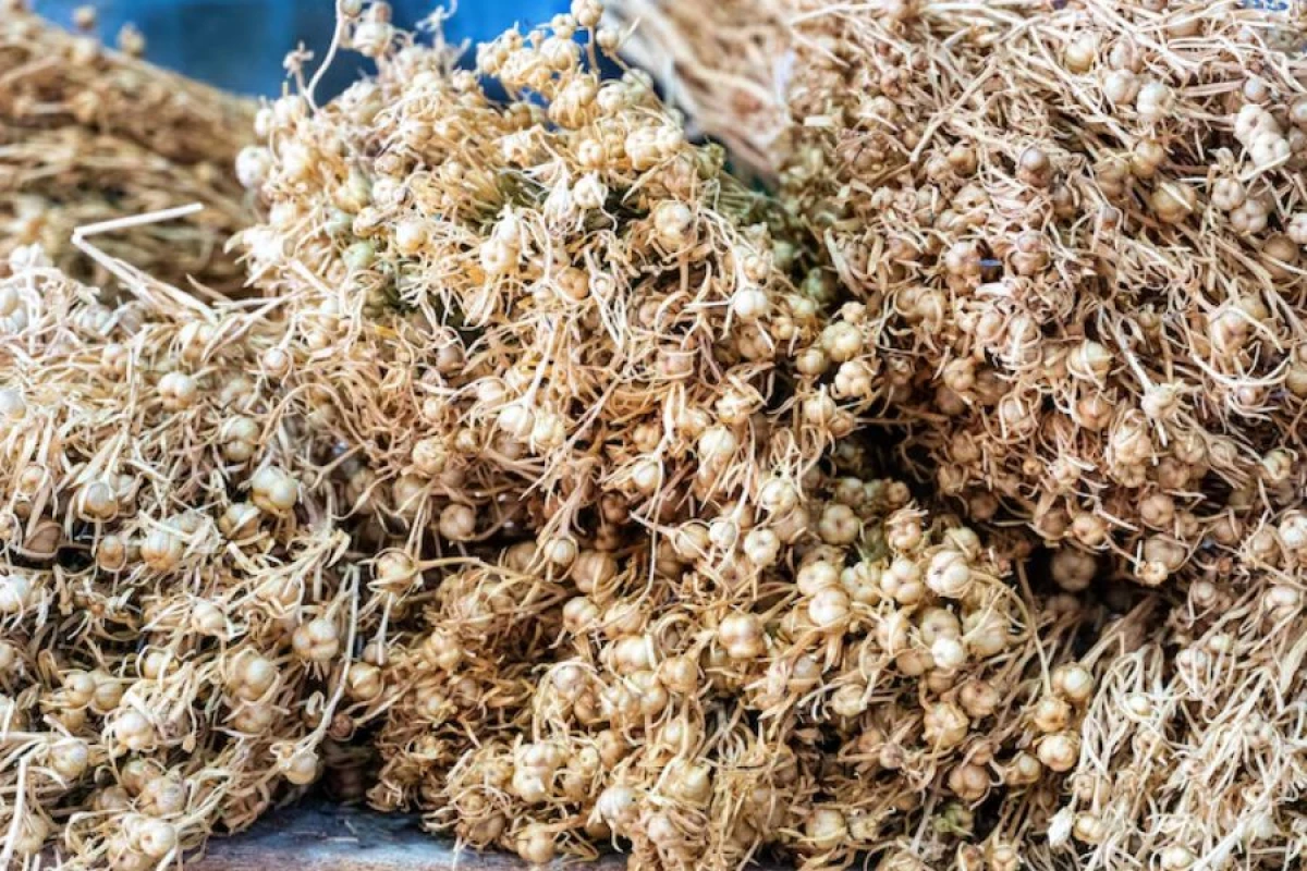 [[ŞOK!]] Kriminal hadisələrdə üzərlikdən istifadə olunur?