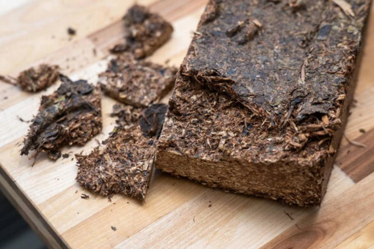 Bədəndə [[yağ yığılmasını azaldan]] içkinin adı açıqlandı