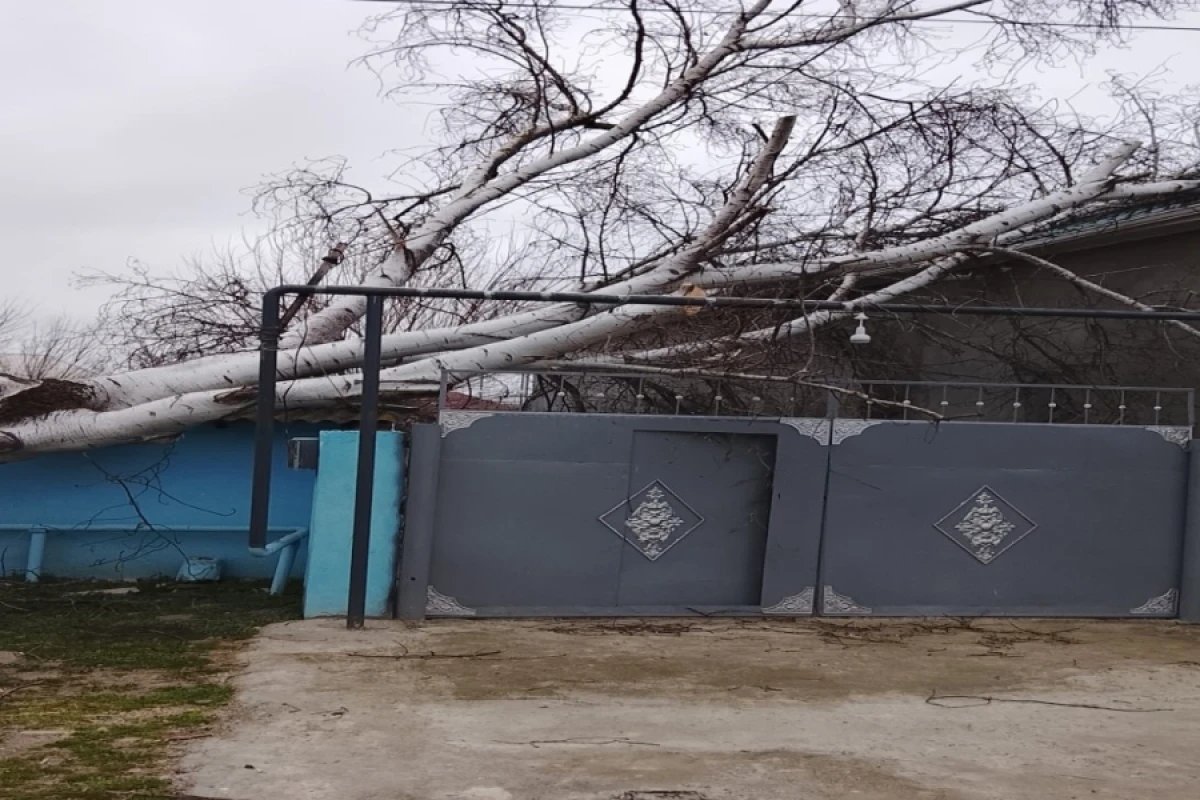 [[Biləsuvar və Cəlilabadda]] güclü külək fəsadlar törətdi