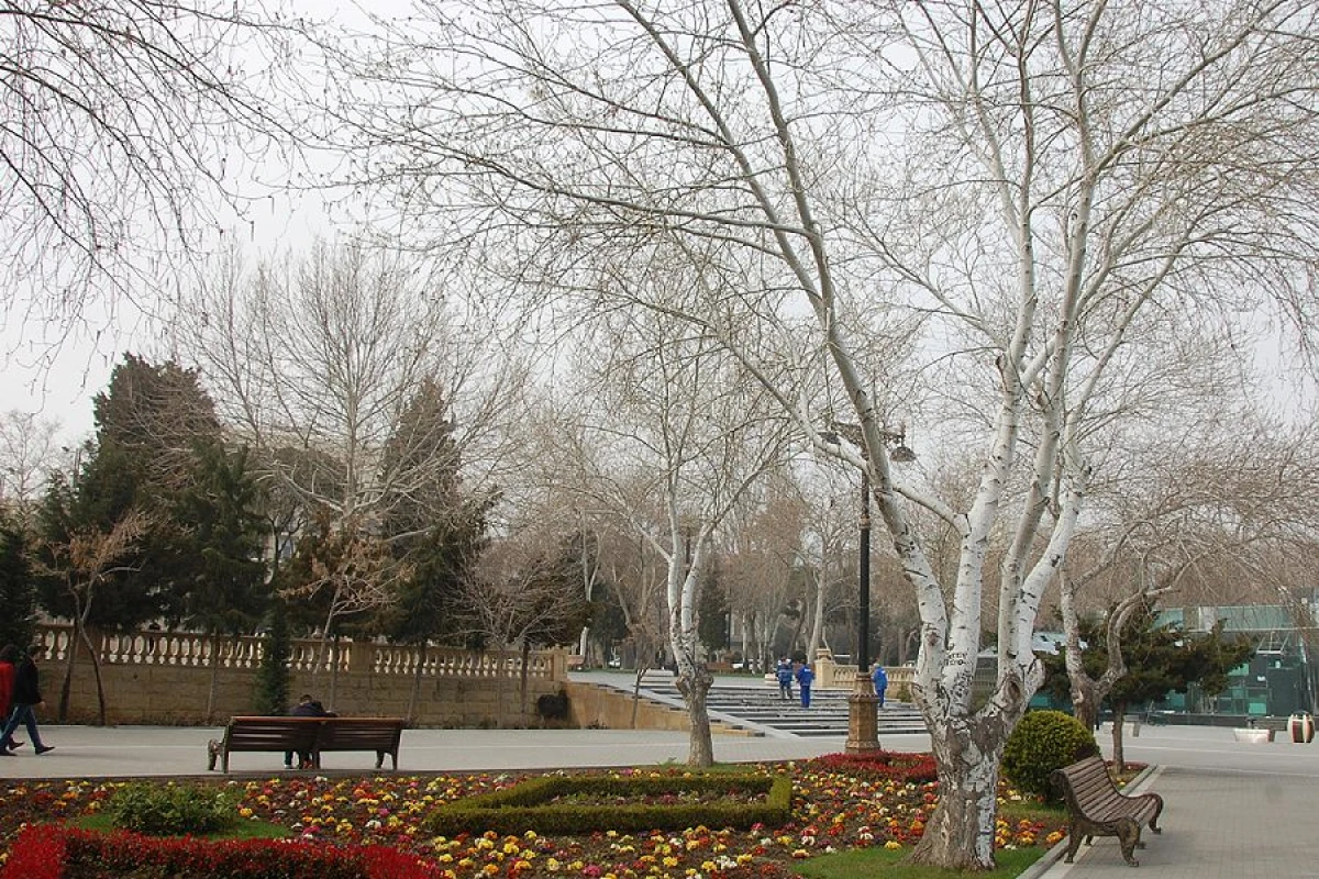 Külək əsir, yağış yağır [[– FAKTİKİ HAVA]]