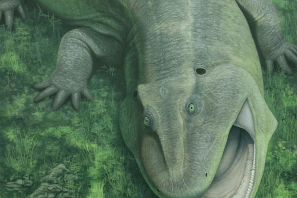 Braziliyada [[naməlum heyvanın qalıqları]] tapıldı