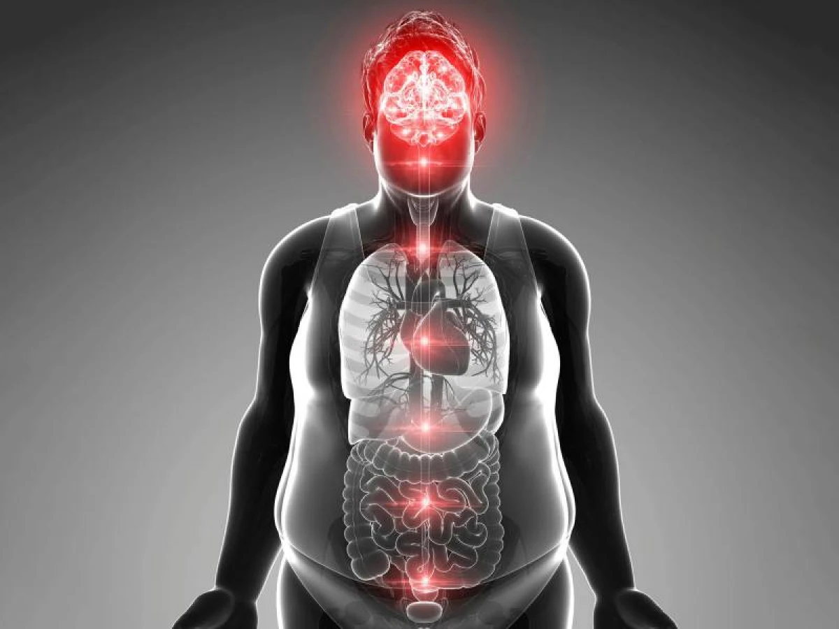 [[Arıqlamaq]] yalnız bədəni deyil, zehni də dəyişdirir