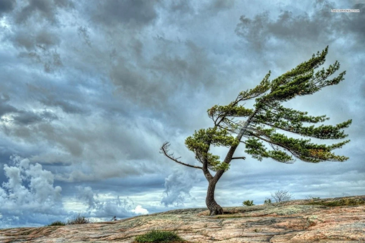 Bakıda və bölgələrdə külək güclənəcək [[- XƏBƏRDARLIQ]]