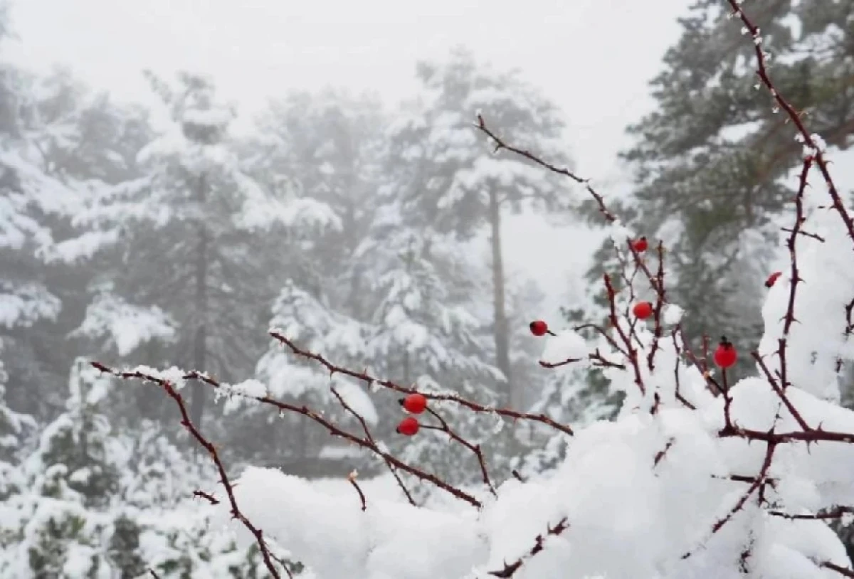 Bəzi rayonlara qar yağacaq [[- PROQNOZ]]