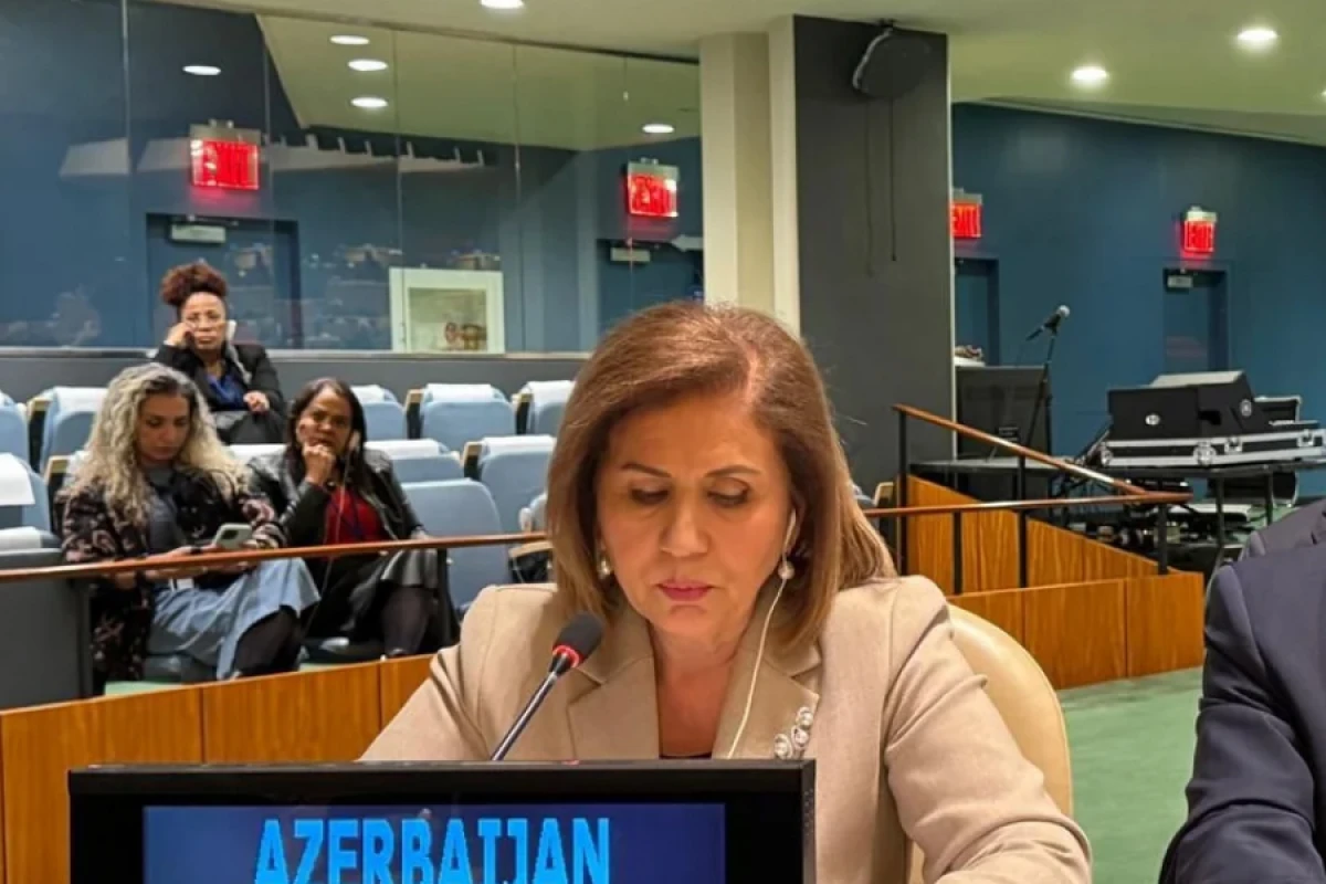 [[Bahar Muradova BMT-də]] Türk Dövlətləri Təşkilatı adından çıxış etdi
