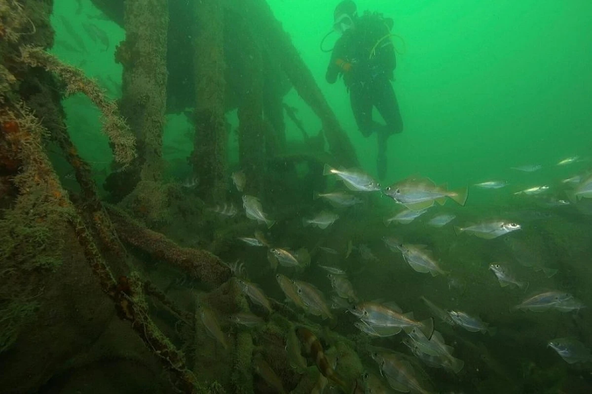 Egey dənizində [[2000 illik gəmi qalıntıları]] tapıldı