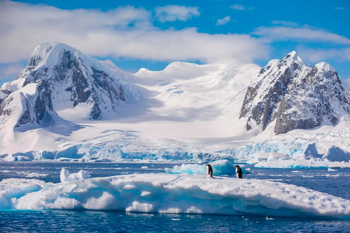 Antarktida da  gözlənilməz [[KƏŞF]]