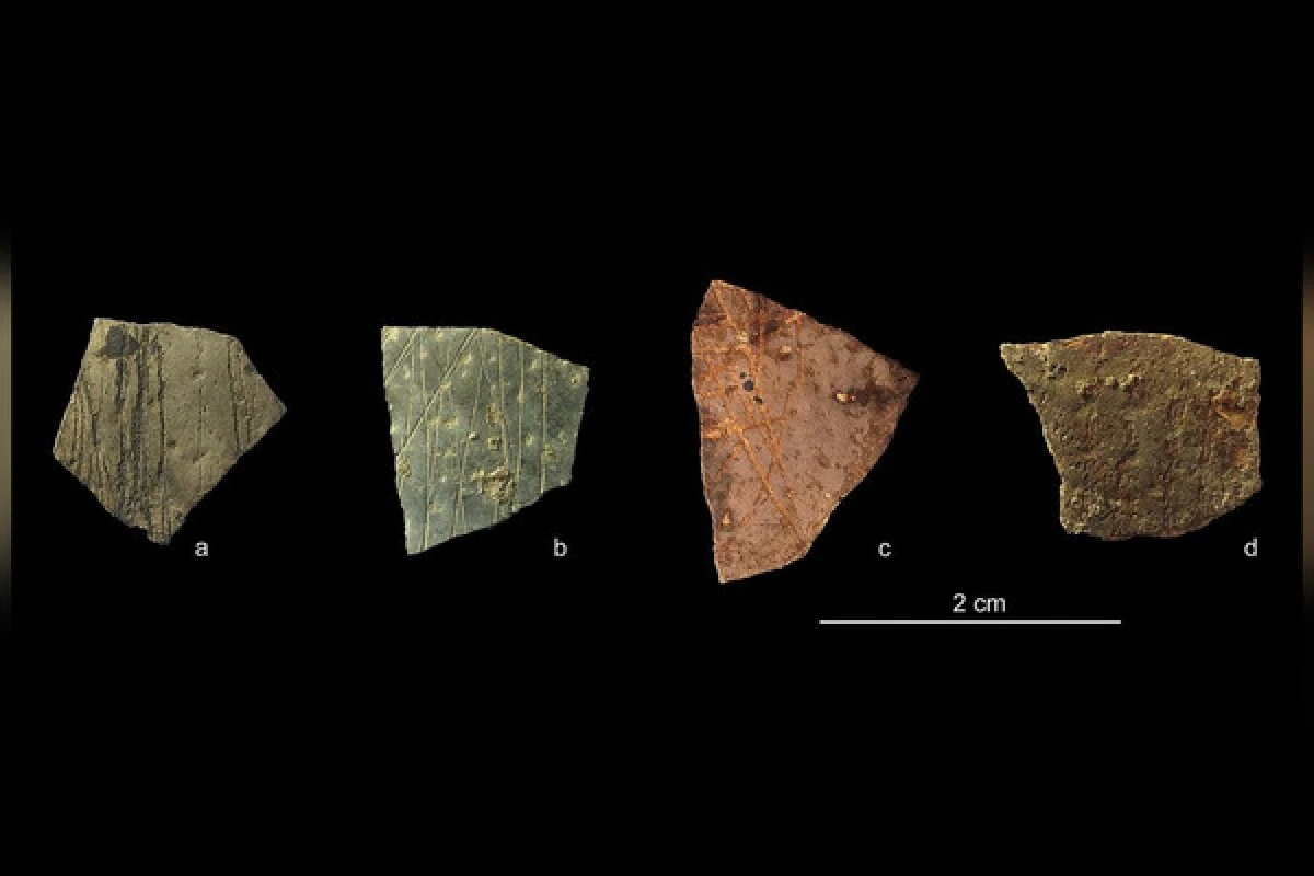 [[Alimlər:]] "İnsanlar 60 min il əvvəl abstrakt düşünə bilib"