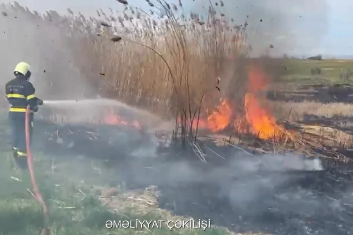 [[Qazaxın Daşsalahlı]] kəndində açıq ərazidə yanğın oldu