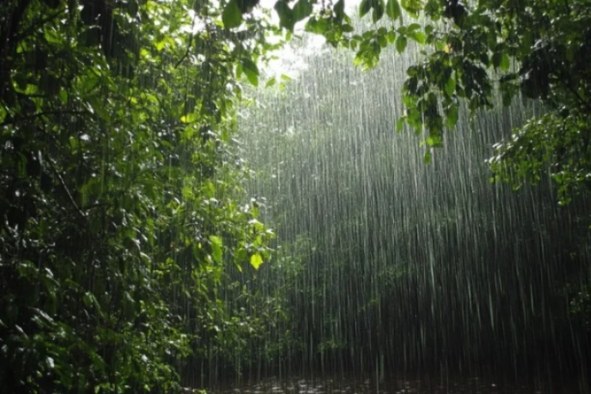 [[Sabahın hava proqnozu]] açıqlandı