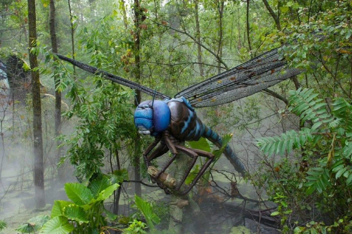 Nəhəng həşəratların nəsli [[niyə kəsilib?]]