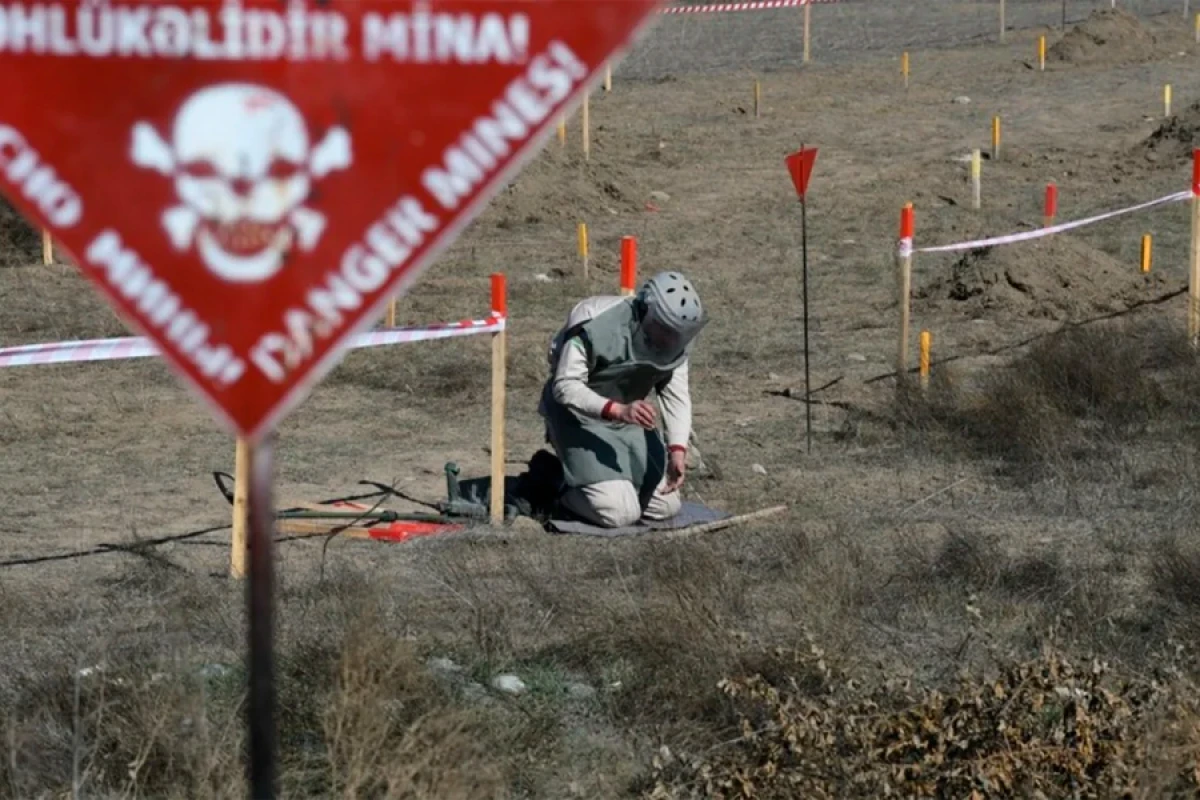 Bu gün [[Beynəlxalq Mina Xəbərdarlığı və Minatəmizləmə Fəaliyyətinə Yardım]] Günüdür