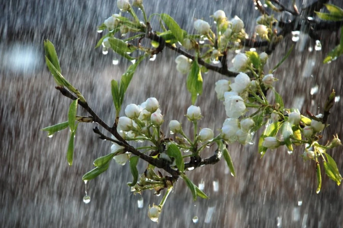 Yağış, qar yağır - [[FAKTİKİ HAVA]]