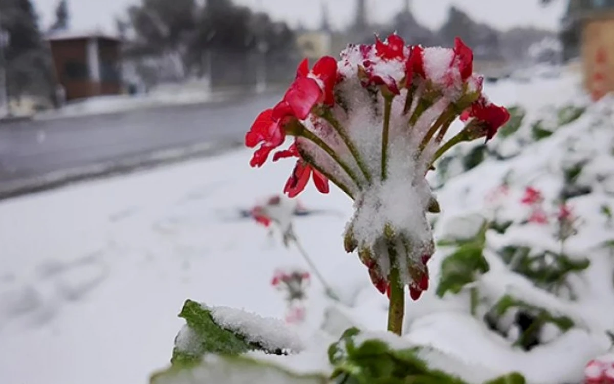 Bəzi ərazilərdə qar yağır [[- FAKTİKİ HAVA]]