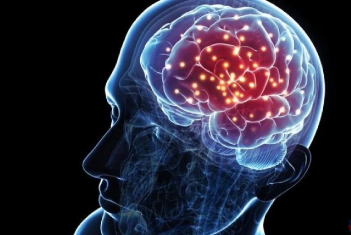 [[Yaşadığınız yer]] beynin qocalmasını tezləşdirə  bilər