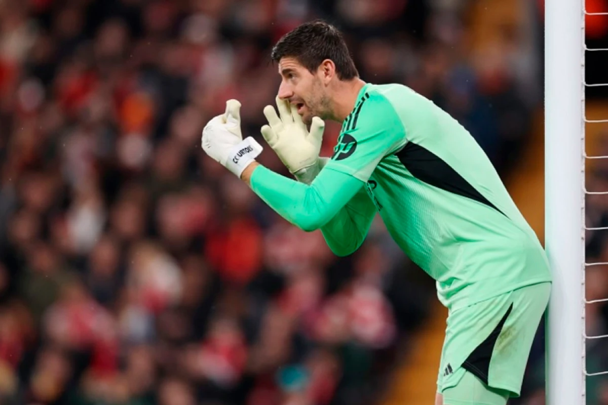 [[Azarkeşlərə müjdə:]] Kurtua meydanlara qayıtmağa yaxındır