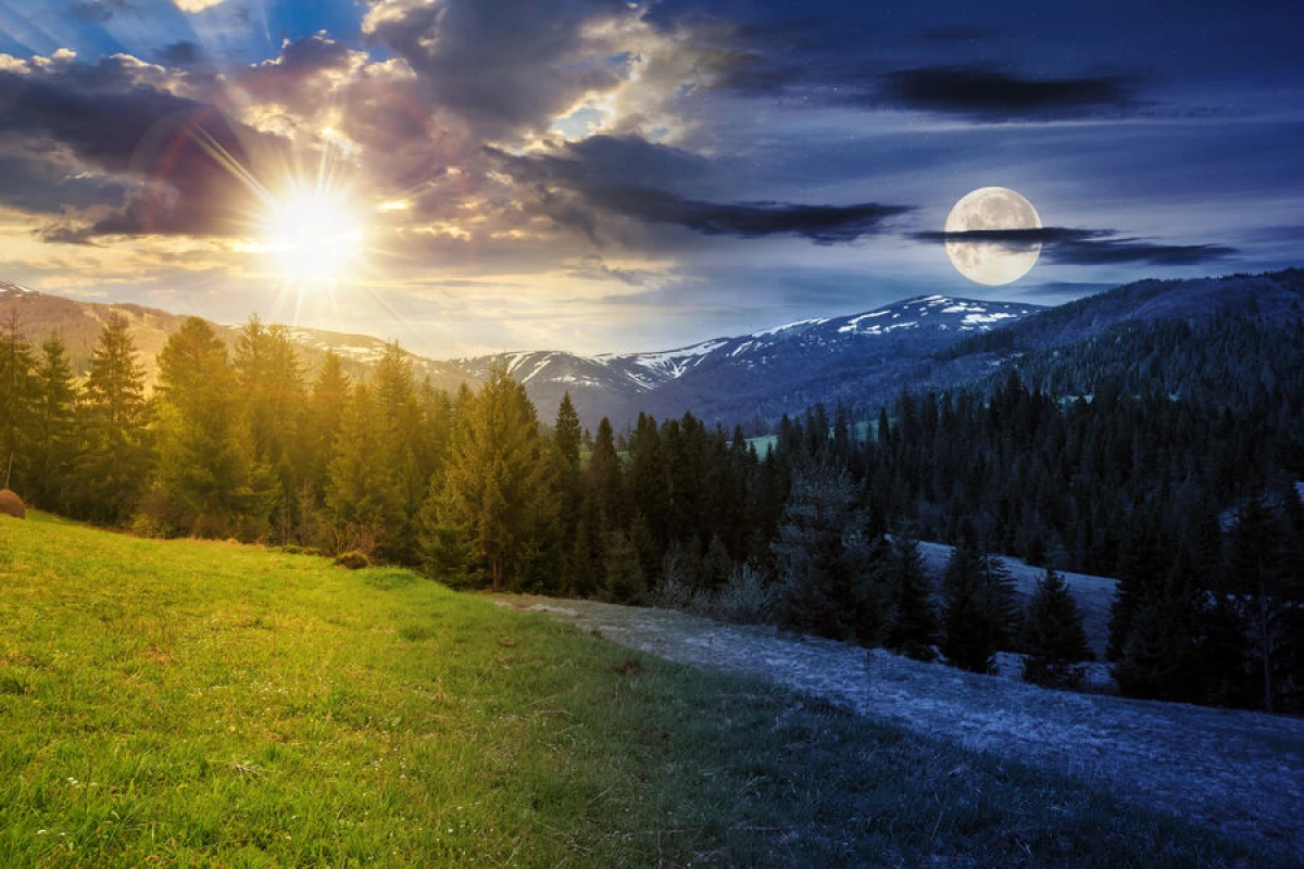 Alimlər Yerdə [[gecənin daha parlaq olduğunu]] aşkar ediblər