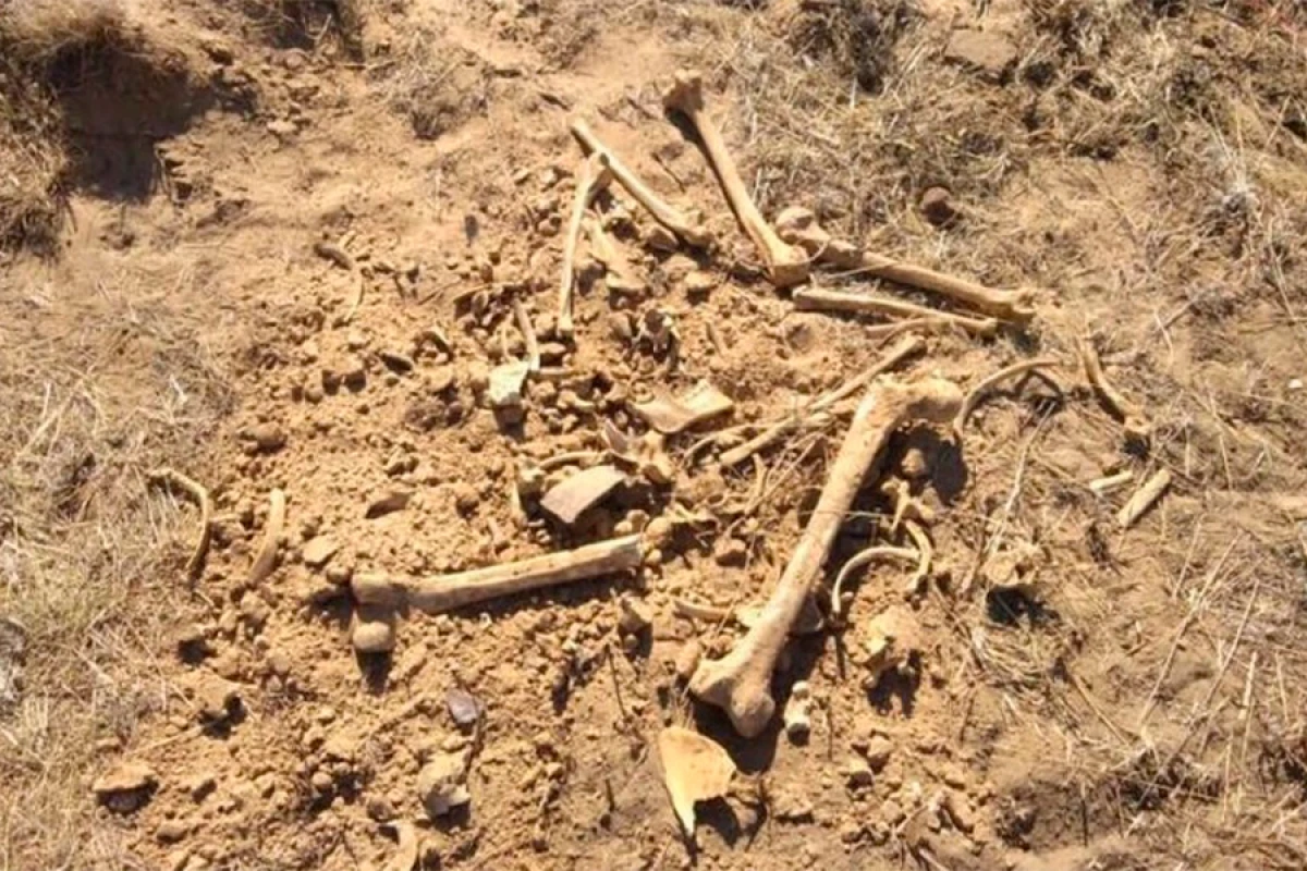 6 il əvvəl [[itkin düşən şəxsin]] qalıqları tapıldı