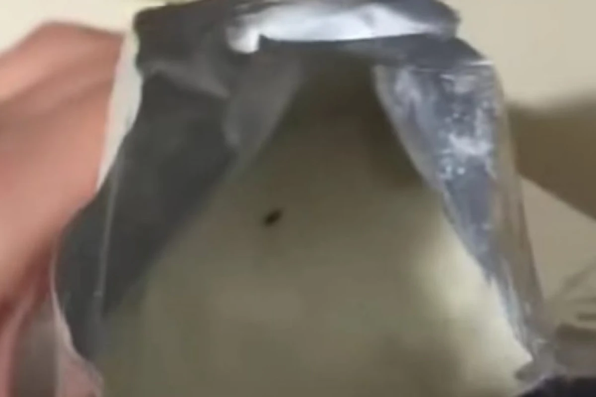 Uşaq qidasından həşərat çıxdı- [[VİDEO]]