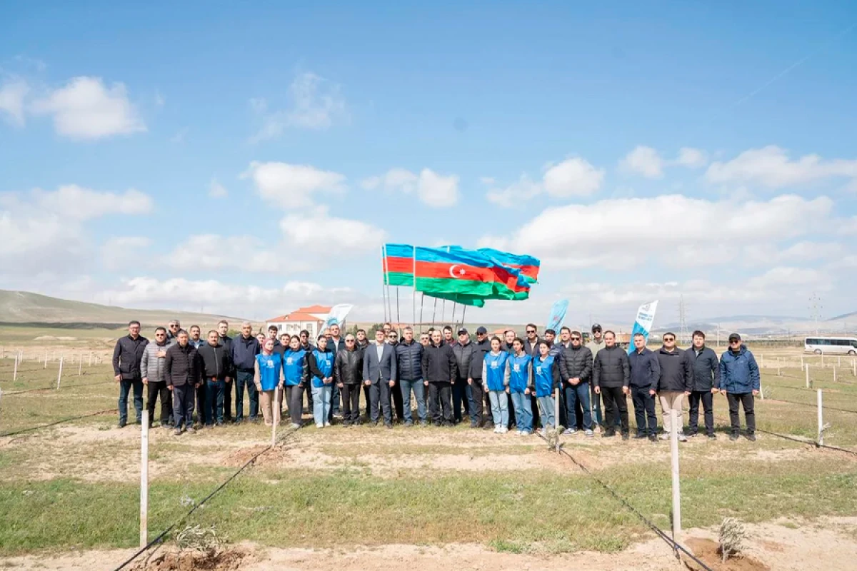 Müşfiqabadda [[ağacəkmə aksiyası]] keçirildi