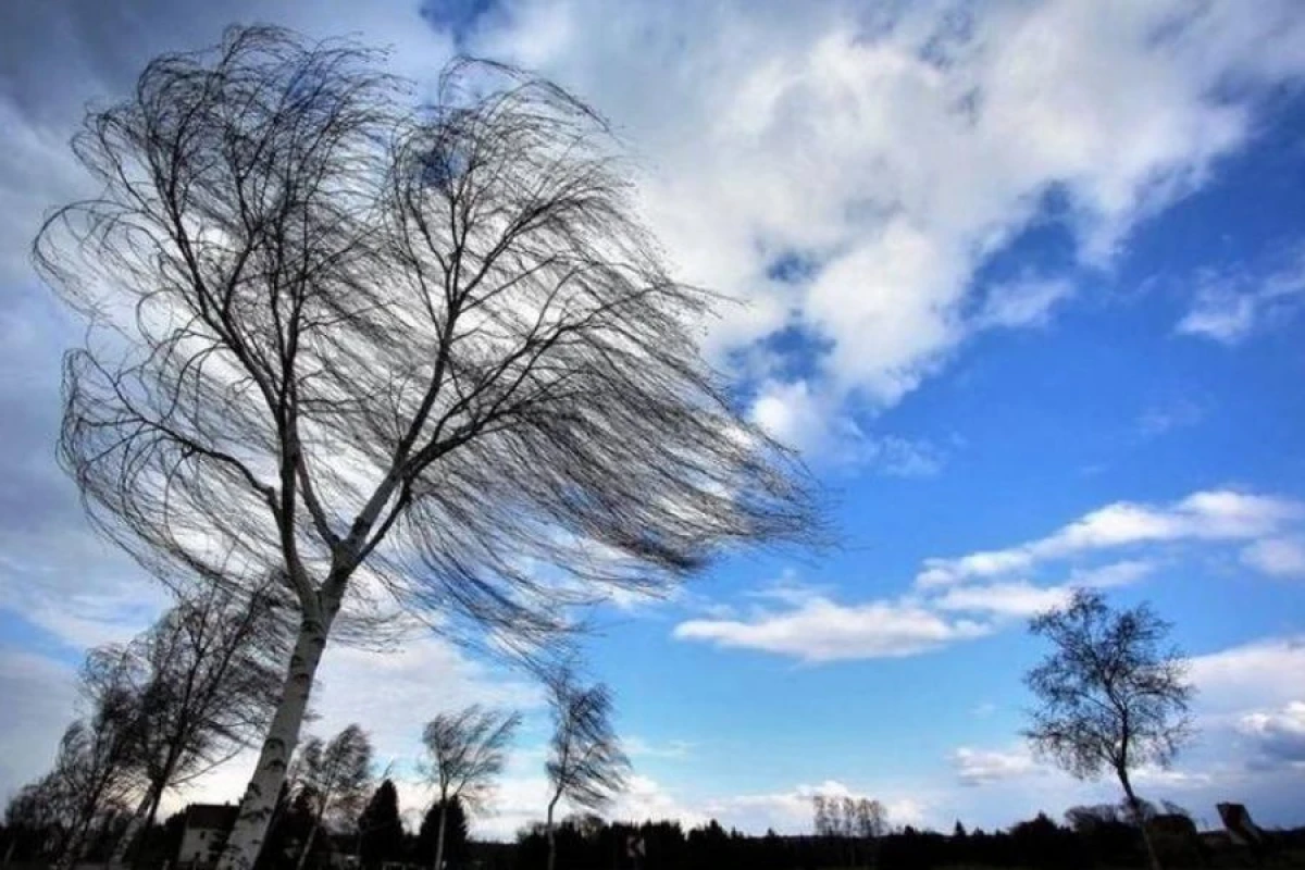 Küləkli hava şəraiti ilə bağlı sarı və narıncı [[- XƏBƏRDARLIQ]]