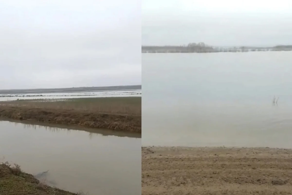 Kür çayı daşdı- [[Sahələri su basdı]]