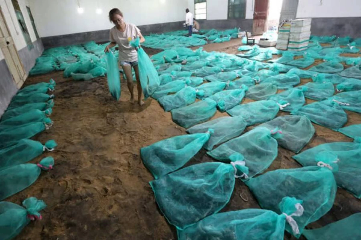 60 min ilan saxlayan şəxs [[150 min dollar]] qazanır