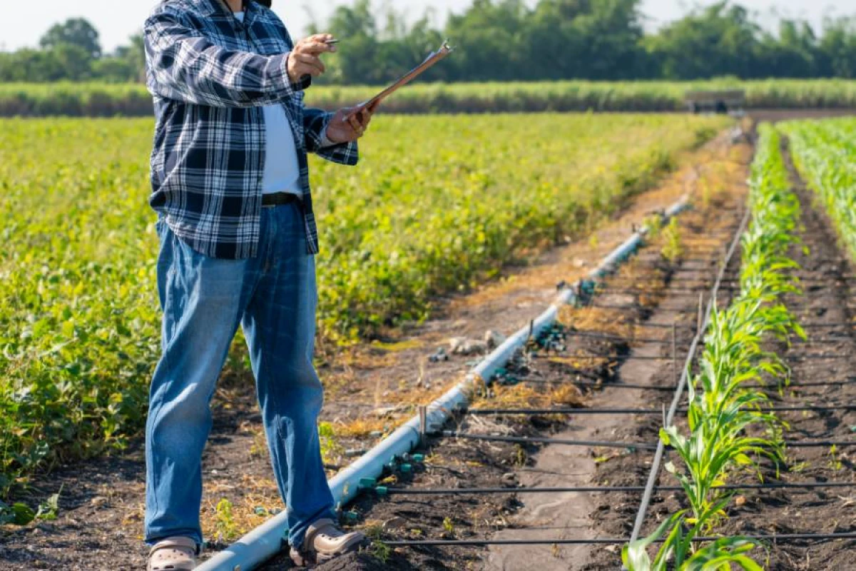 [[Livan və İtaliya]] bu sahədə əməkdaşlığı gücləndirir