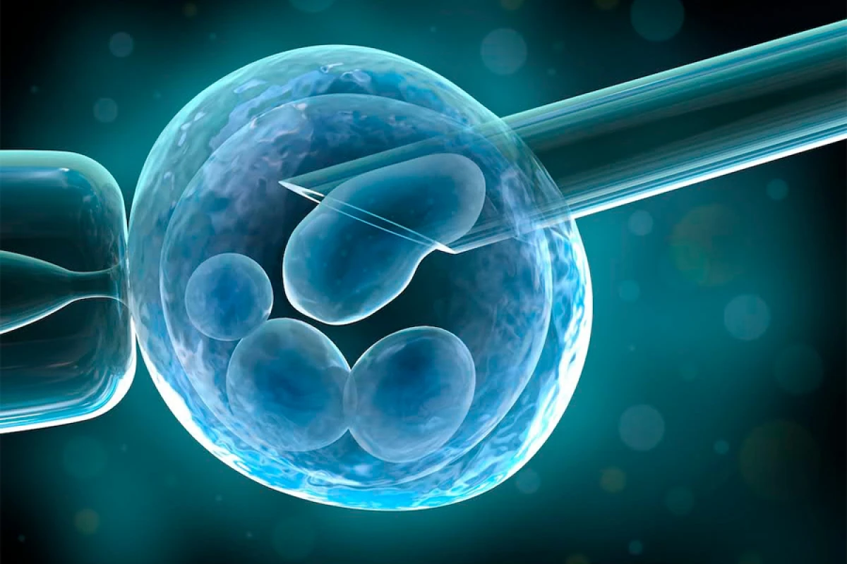 İnsan alverinin qurbanı olmaq istəməyənlərin [[NƏZƏRİNƏ! Şəbəkə ifşa edildi]]