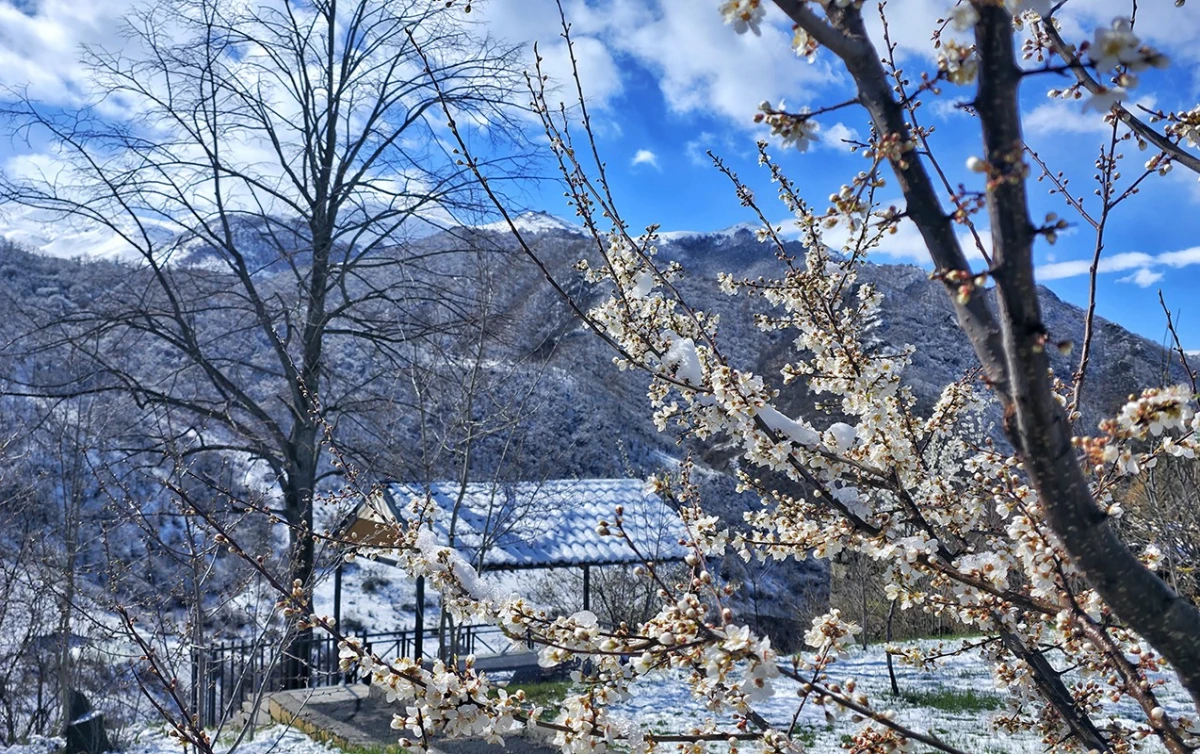 Daşkəsən və Gədəbəyə qar yağdı [[- FAKTİKİ HAVA]]