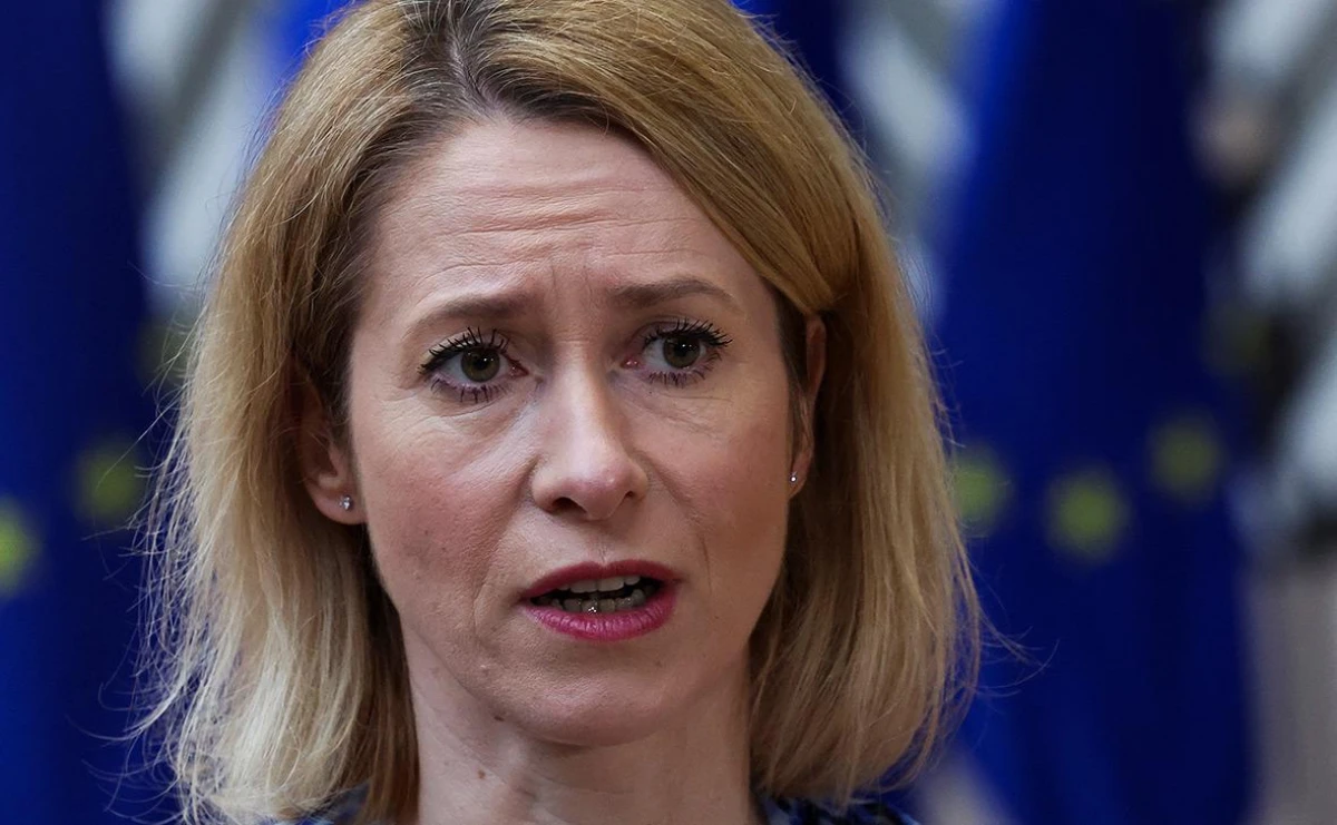 [[Avropa İttifaqı]] Vaşinqton insidentinə reaksiya verdi